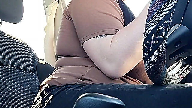 New Comfy Car Seat
